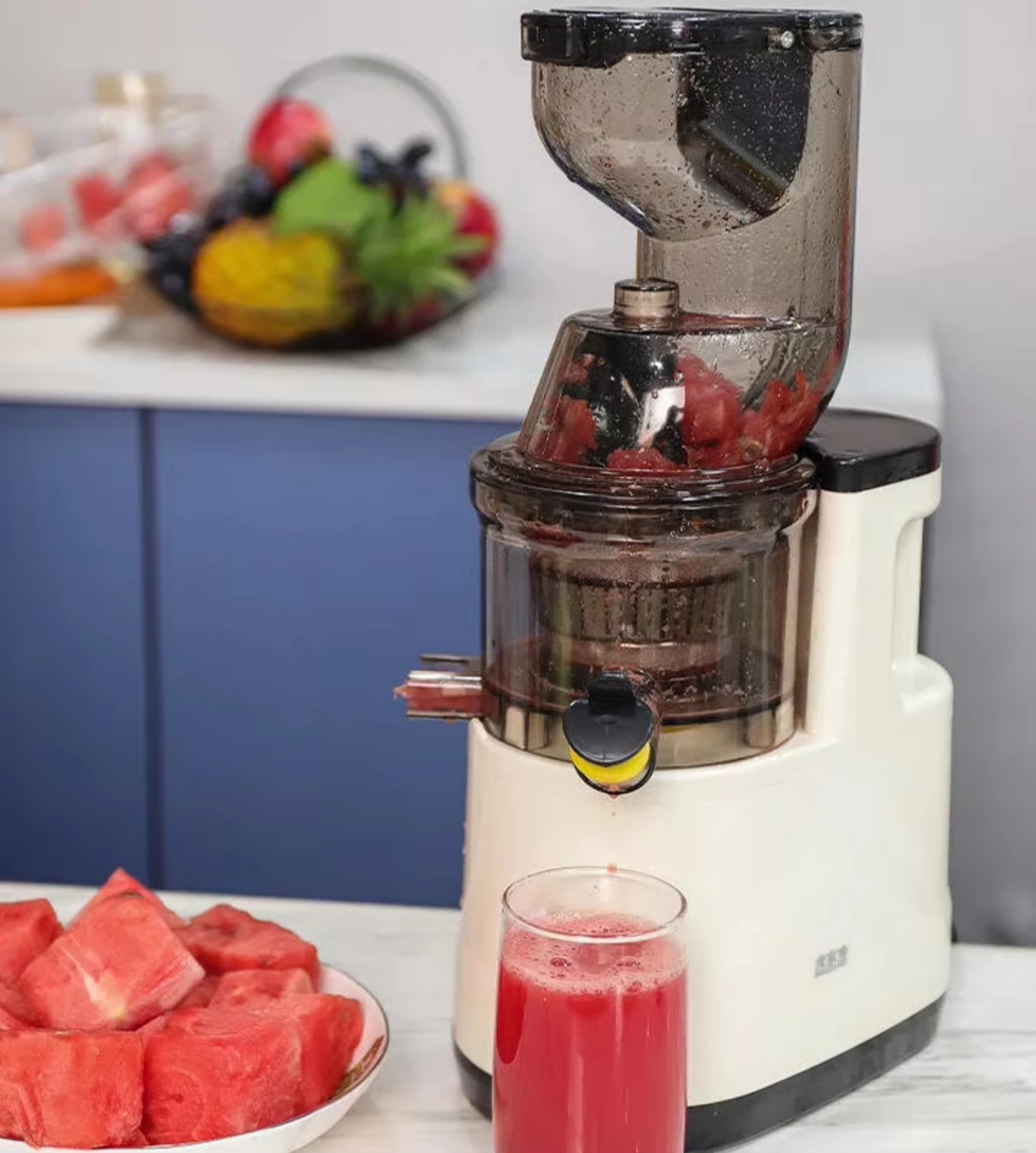 Slivers Criest SC-1591 Slow Juicer & Masticating Fruit Extractor